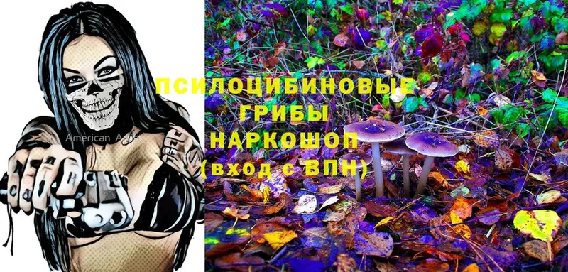 где продают наркотики  Шагонар  Галлюциногенные грибы Magic Shrooms 